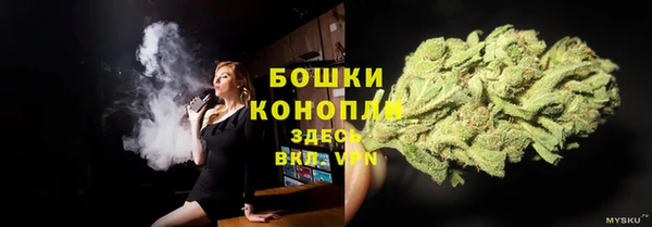 PSILOCYBIN Абдулино