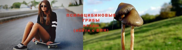 PSILOCYBIN Абдулино