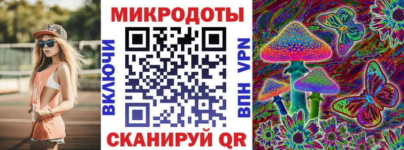Галлюциногенные грибы Psilocybine cubensis Североморск